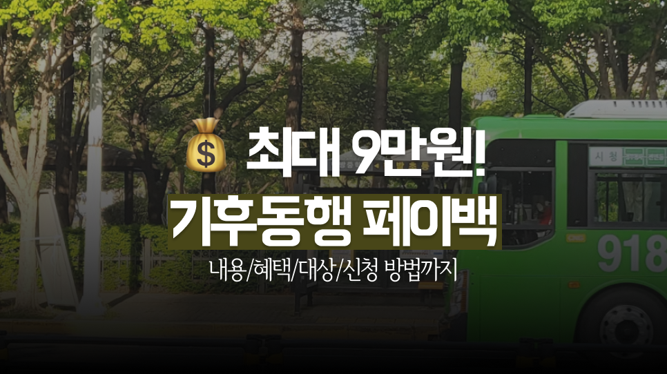 기후동행 3만원 페이백, 나도 신청대상일까?!